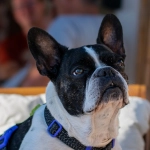 Программы лояльности казино без депозита для получения статуса